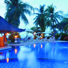 Aneka Lovina Villas and Spa - Bild 11
