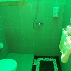 Paradise Palm Beach Bungalows - Bild 9