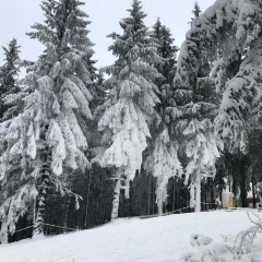 Relax 2 - Bild 9