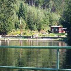 Waldcafe - Bild 10