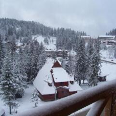 Apartment for 4 Persons at Luxhotel in Jahorina, Bosnia and Herzegovina from 736$, photos, reviews - zenhotels.com photo 8
