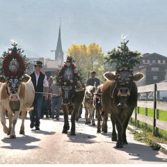 Haus Gaisberger - Bild 9