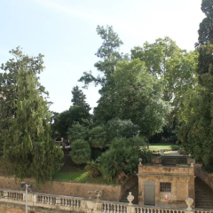 Hotel Fiori - Bild 16