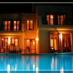 Halcyon thumbnail 11