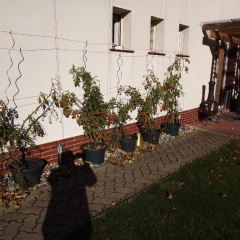 Pension Regenbogen - Bild 1