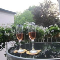 Ferienwohnung Am Griesgarten - Bild 12