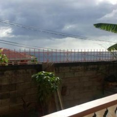 Joy's Apartment in Roseau, Dominica from 71$, photos, reviews - zenhotels.com balcony