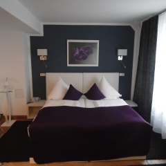 Rheinmetropole Hotel - Bild 5