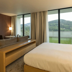 Douro Royal Valley Hotel & SPA thumbnail 6