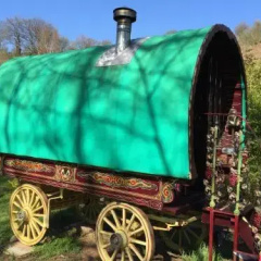 Wriggles Brook Gypsy B&B thumbnail 4