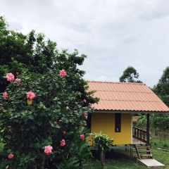Sang Un Bungalow - Bild 9