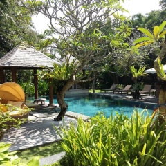 Arwana Estate - Bild 13