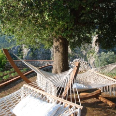 Dionysos Hotel - Bild 20