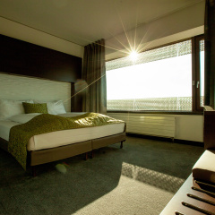 Airport Hotel Basel - Bild 4