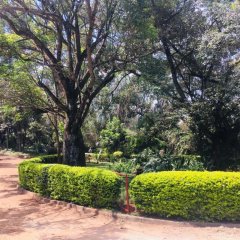 Idyllic Mistley House and Gardens Off Kamiti Road. in Nairobi, Kenya from 143$, photos, reviews - zenhotels.com photo 24
