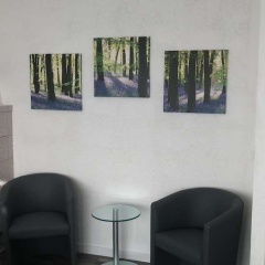 Gästehaus Birke - Bild 8