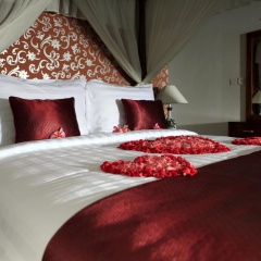 The Wyn's Villa - Bild 3