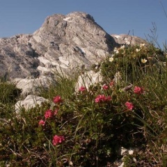Gasthaus-Pension Seeklause - Bild 7