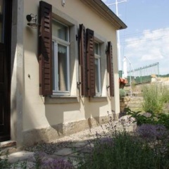 Ferienwohnung an der Elbe - Bild 1