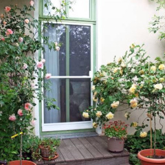 Apartmenthaus Potsdam-Quartett - Bild 7