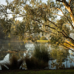 The Burrow At Wombat Bend thumbnail 5
