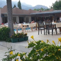 Zara - Bild 11