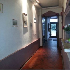 Schwarzer Adler - Bild 4
