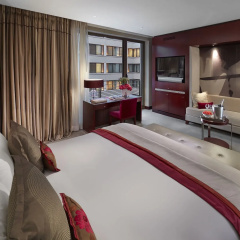 Mandarin Oriental, Paris thumbnail 6