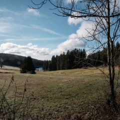 Vibrant Holiday Home in Hahnenklee near Ski Area - Bild 15