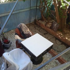 Apartment with barbecue 1 km beach - Bild 6