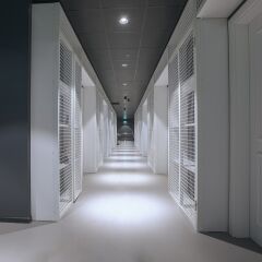 Отель Парк-отель Tsinandali Estate Грузия, Телави - отзывы, цены и фото номеров - забронировать отель Парк-отель Tsinandali Estate онлайн фото 14