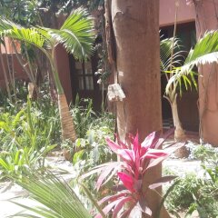 ASAO in Dakar, Senegal from 42$, photos, reviews - zenhotels.com photo 29