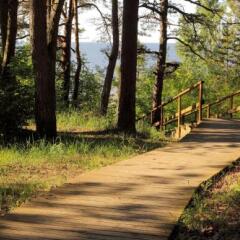 Cottage Dzintars in Jurmala, Latvia from 122$, photos, reviews - zenhotels.com outdoors