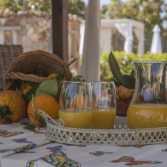 Finca Es Moyà des Pins - Bild 3