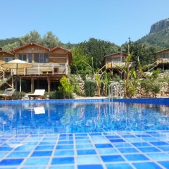 Olive Garden Kabak - Bild 14