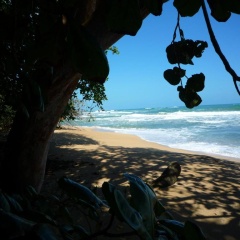 Mar Verde Lodge thumbnail 4