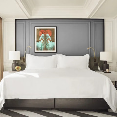 Villa Magna Park Hyatt in Madrid, Spain from 468$, photos, reviews - zenhotels.com photo 38