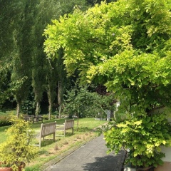 Yve Guesthouse thumbnail 6