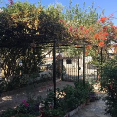 Keyif Pansiyon - Bild 2