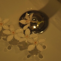 Bakantiang Resort - Bild 12