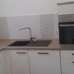 Greifen - Bild 4