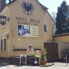 Schwarzer Adler - Bild 1