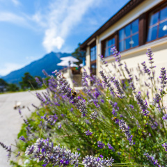 Landhotel & Berggasthof Panorama - Bild 1