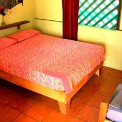 Hakuna Matata Hostel thumbnail 3