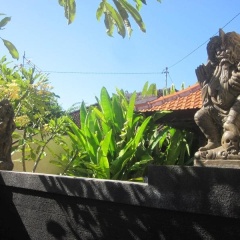Gili Sari Homestay - Bild 9
