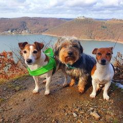 Ferienwohnung mit Bergblick - Bild 18