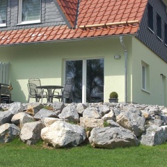 Zaunkönig 1. - Bild 13