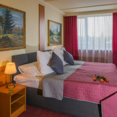 TOP HOTEL Praha & Conference Centre - Bild 6