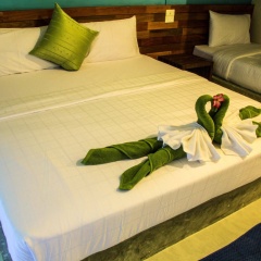 Cha-Cha Hotel - Bild 6