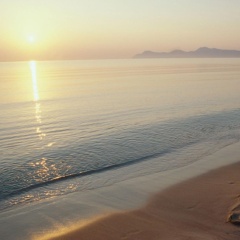 Hotel JS Sol de Alcudia - Bild 19